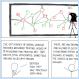 xkcd: Network