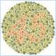 Color Blindness Demonstrated (Pics)