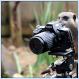 Longleat Meerkats take photos of themselves [pics]