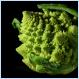 Fractal Broccoflower [Pic]