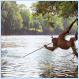 Orangutan attempts to hunt fish with spear, wow! - (pic)