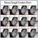 Steven Segal Emotion Chart [pics]