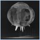 Nuclear explosion photographed less than one millisecond after detonation. (pic)